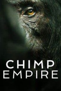 Download Chimp Empire (Season 1) Dual Audio {Hindi-English} With Esubs WeB- DL 720p [400MB] || 1080p [1.1GB]