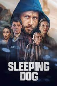 Download Sleeping Dog (Season 1) Multi Audio {Hindi-English-German} WeB- DL 480p [160MB] || 720p [300MB] || 1080p [1GB]