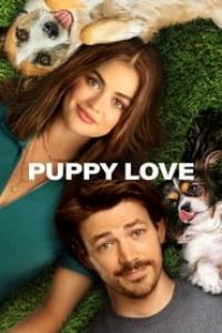 Download Puppy Love (2023) {English With Subtitles} WEB-DL 480p [320MB] || 720p [860MB] || 1080p [2GB]