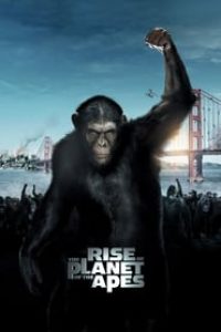 Download Rise of the Planet of the Apes (2011) Dual Audio {Hindi-English} 480p [300MB] || 720p [900MB] || 1080p [1.8GB]