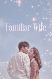 Download Familiar Wife (Season 1) Kdrama Dual Audio (Hindi-Korean) WeB-DL 720p [400MB]