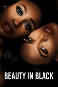 Download Beauty in Black (Season 1) [S01E08 Added] Dual Audio {Hindi-English} WeB-DL 480p [200MB] || 720p [450MB]