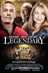 Download Legendary (2010) Dual Audio [HINDI & ENGLISH] BluRay 480p [382MB] || 720p [1.1GB] || 1080p [2.1GB]